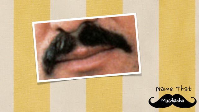 Name That Mustache image number null