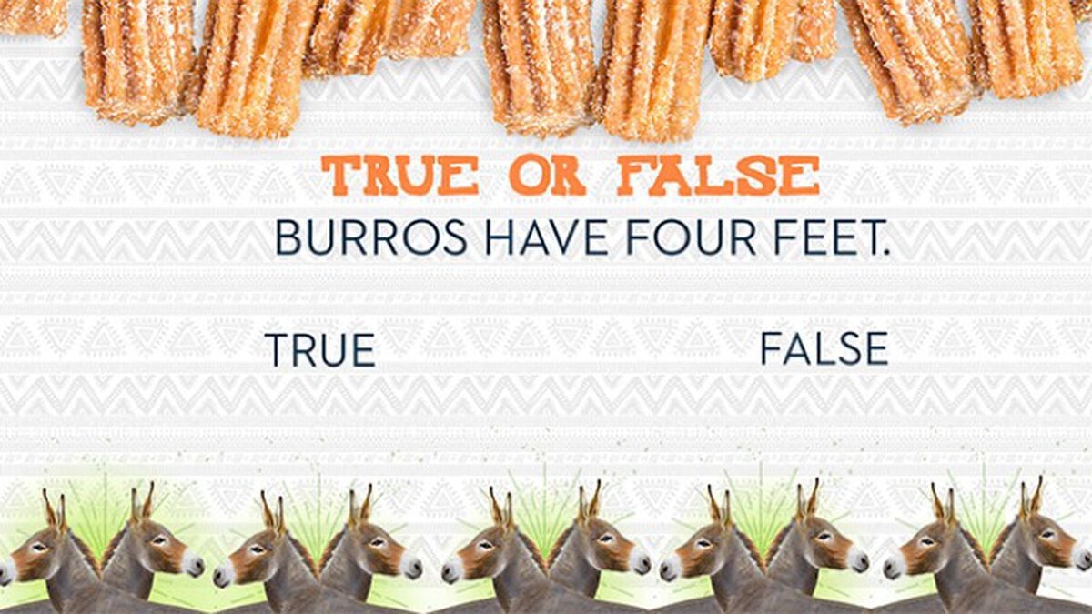 Churros and Burros image number null