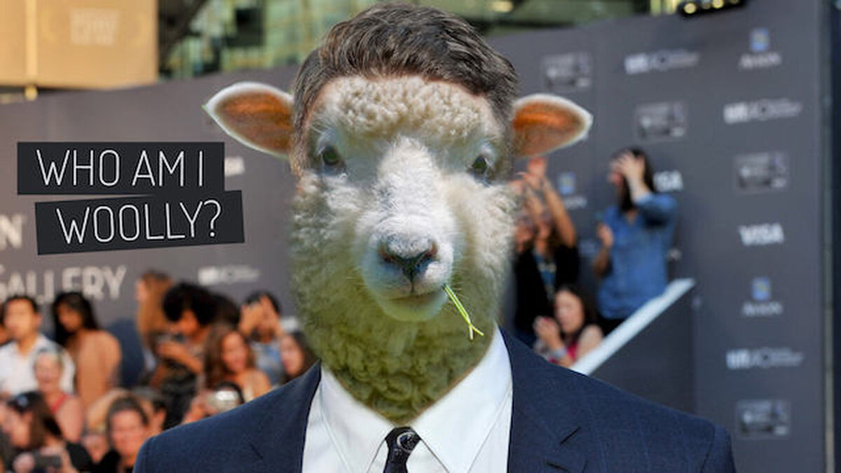 Who Is It Woolly? image number null