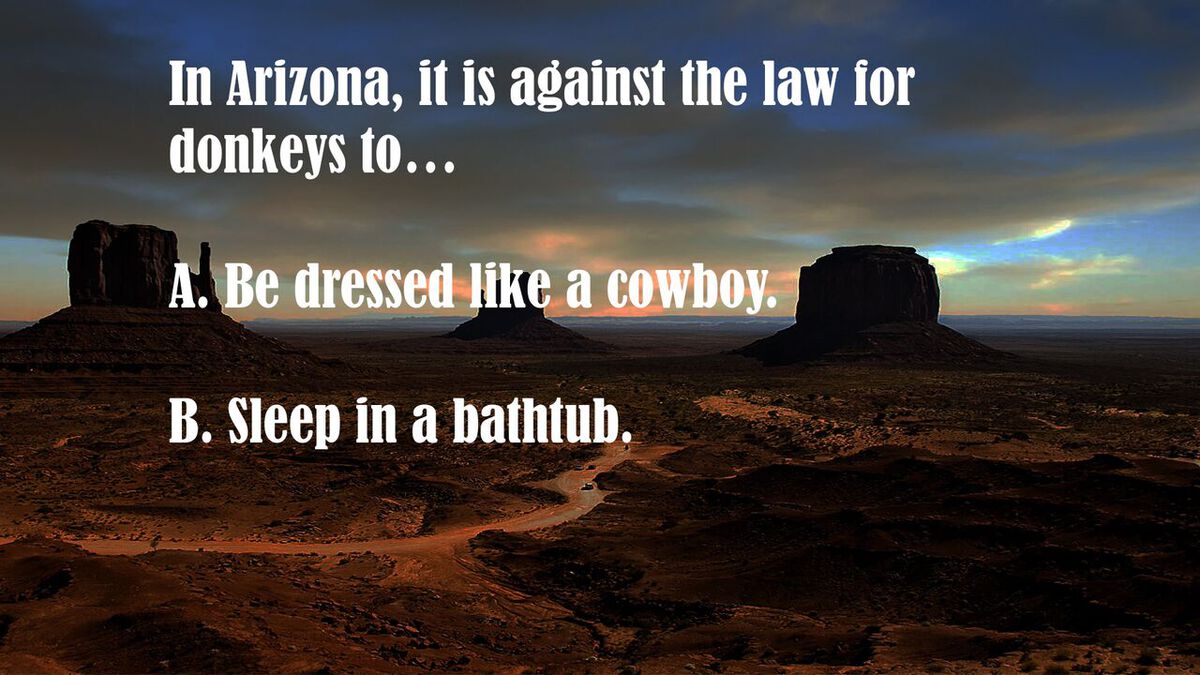 Real Laws: The Wild West image number null