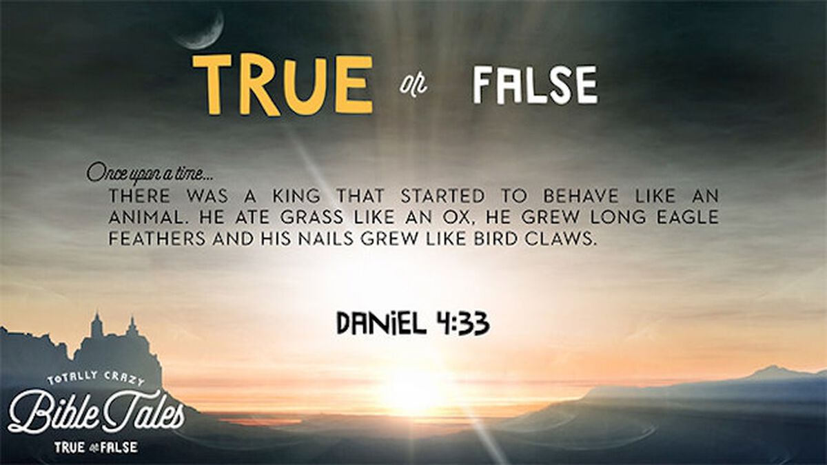Totally Crazy Bible Tales (True or False) image number null