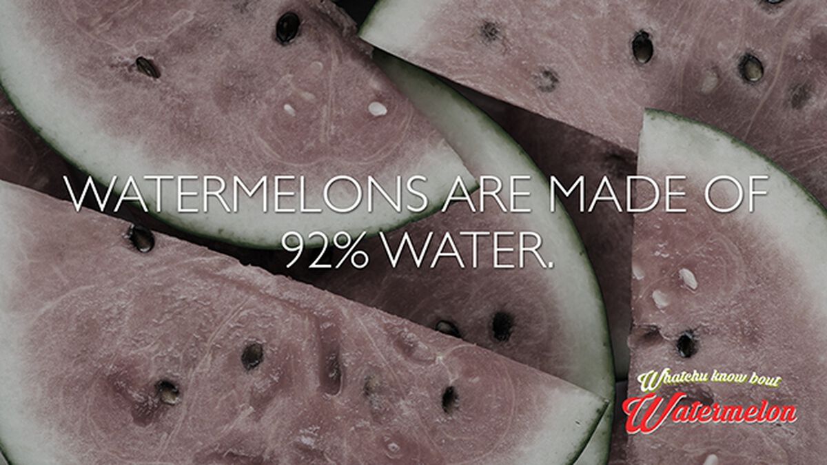 Whatchu Know Bout Watermelon? (August 3rd, National Watermelon Day) image number null