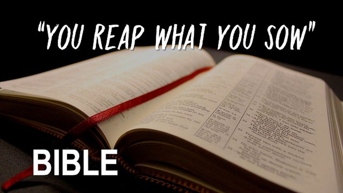 Is It In The Bible? image number null