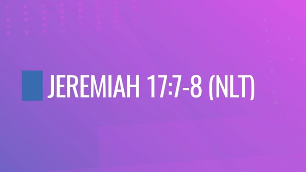 Four Scripture Videos - Instagram & Live Ready Volume 1 image number null