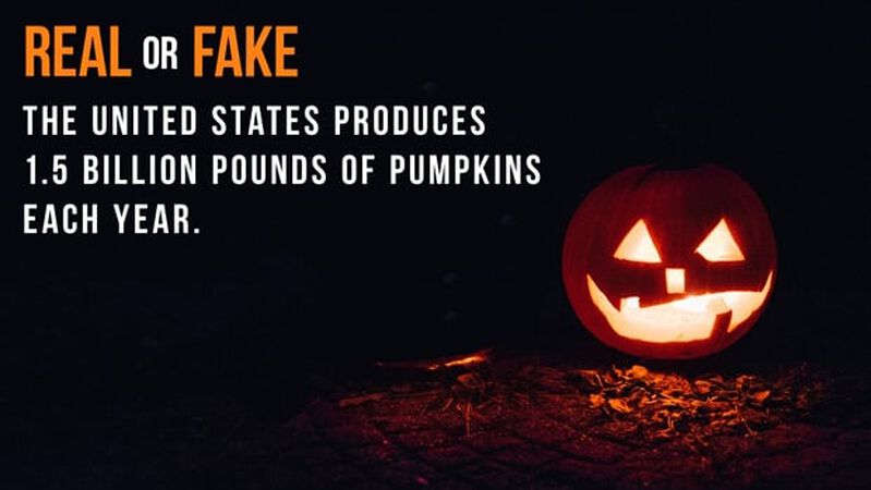 Real or Fake: Halloween Edition