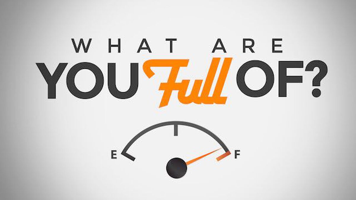 What Are You Full Of? image number null