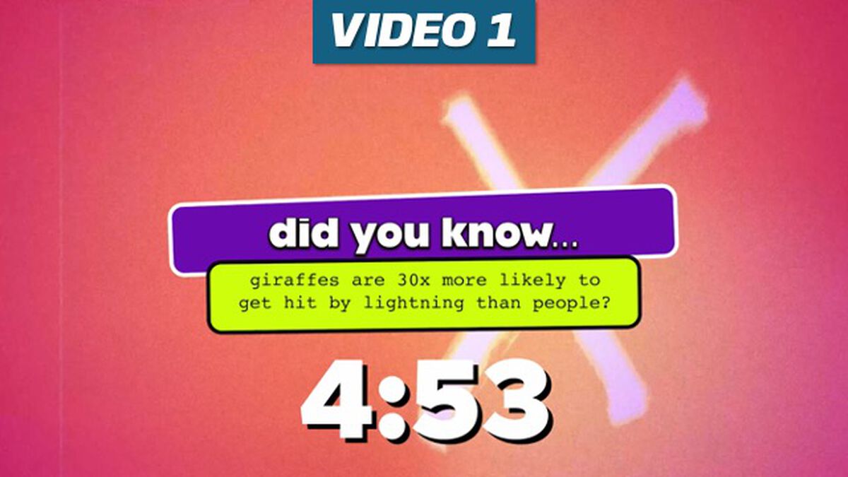 Fun Facts Countdown 4-Pack | Video | Download Youth Ministry