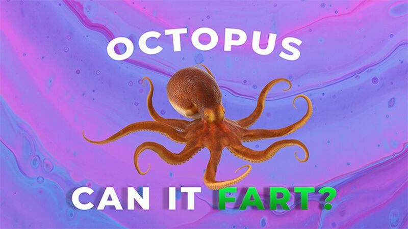 Can It Fart Number 2