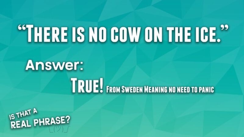 Is That a Real Phrase - Around the World Edition