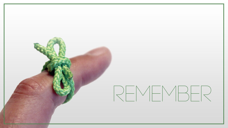 VIVA Curriculum Mega Bundle Volume 1