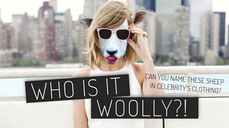 Who Is It Woolly?
