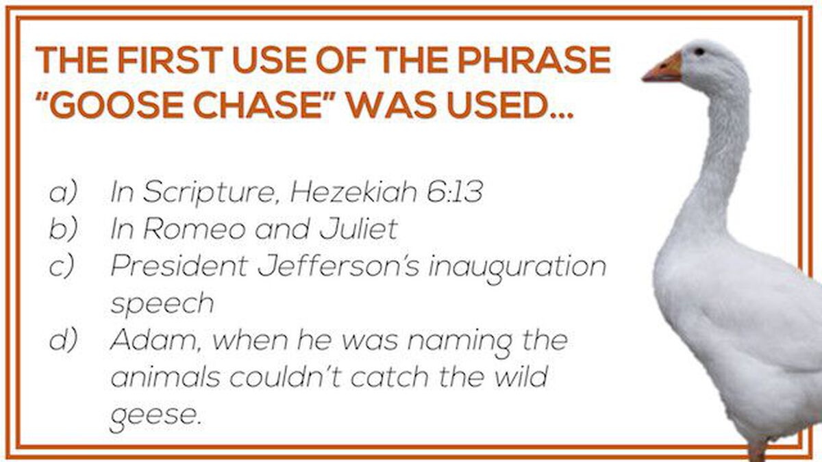 Goose Chase Trivia image number null