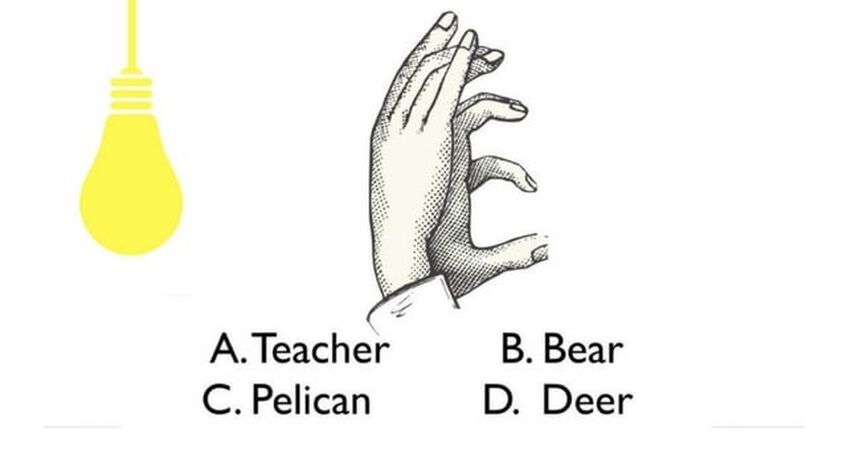 Name That Shadow Puppet