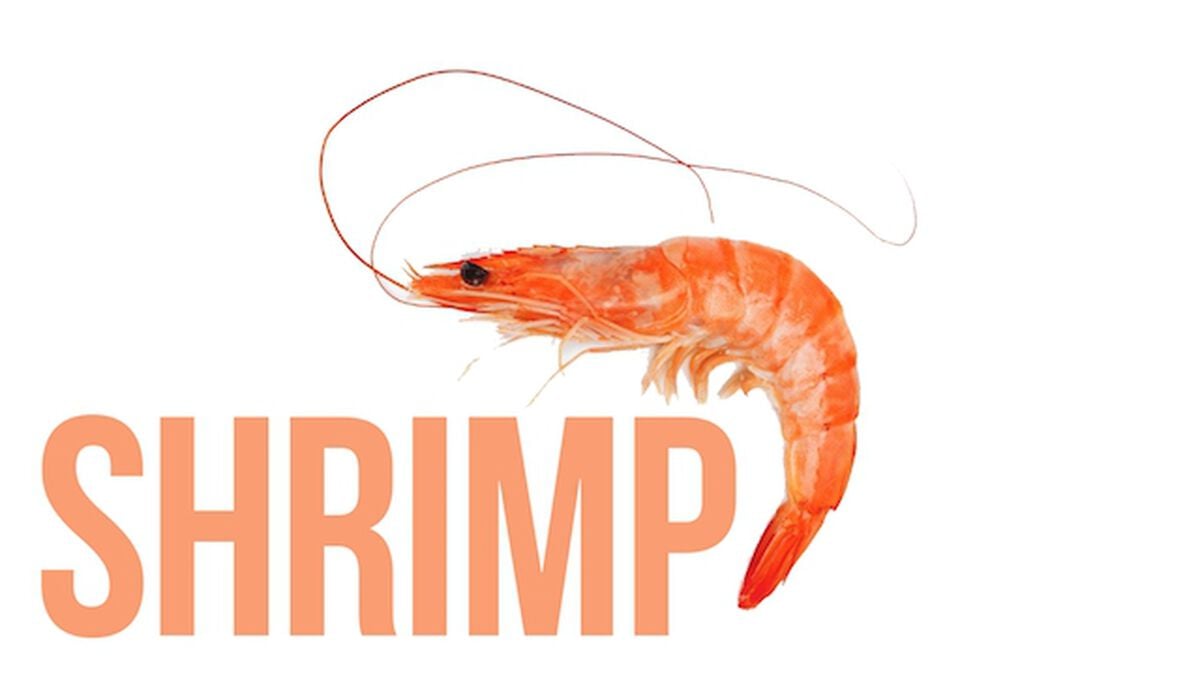 Shrimp or Crawfish (May 10th, National Shrimp Day) image number null