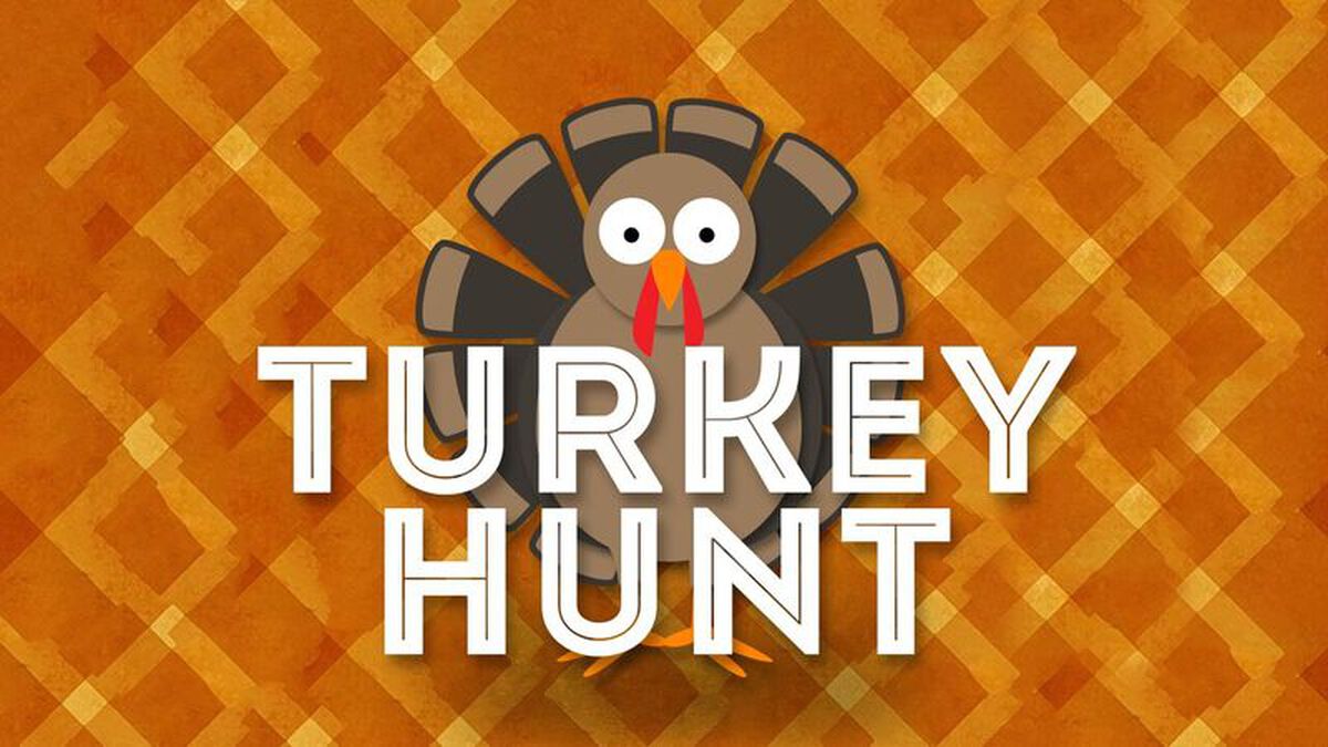 Turkey Hunt! image number null