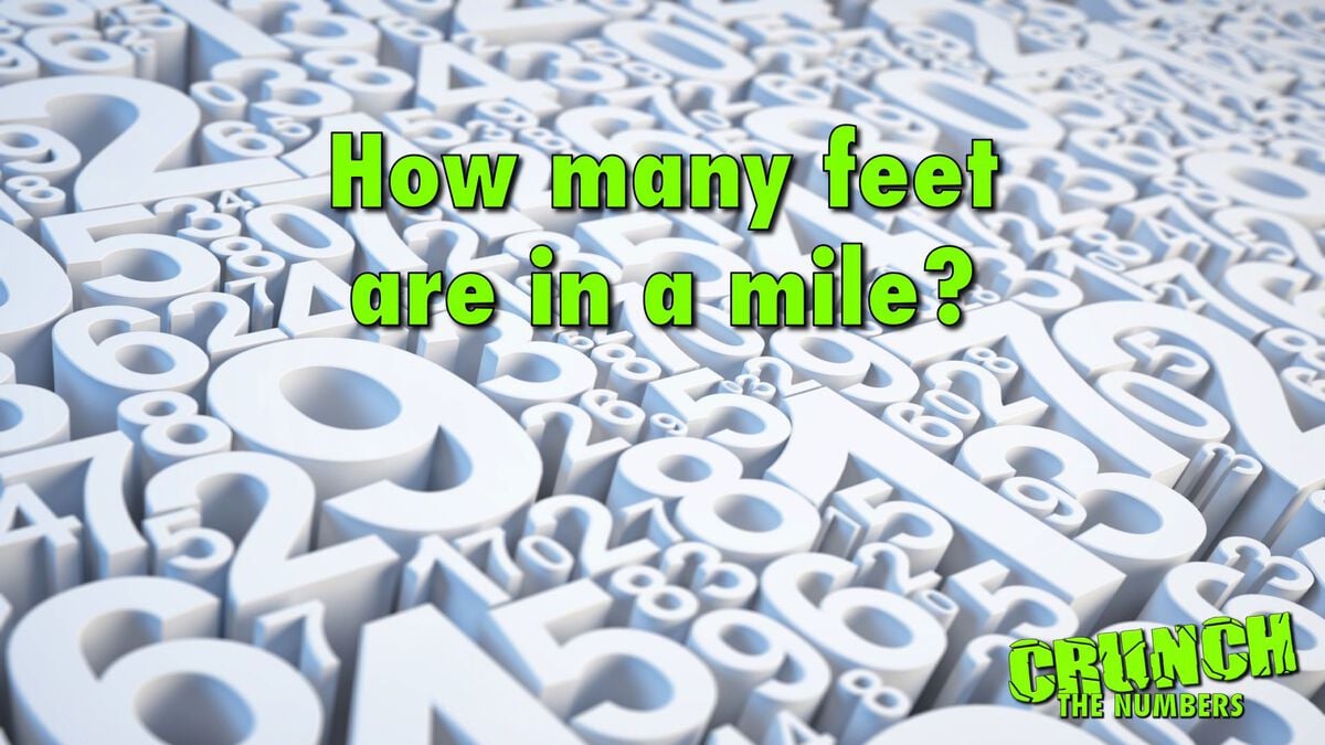 Crunch The Numbers image number null