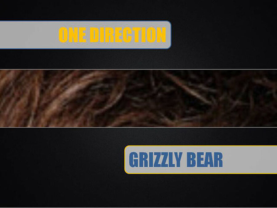 Boy Band or Grizzly Bear image number null