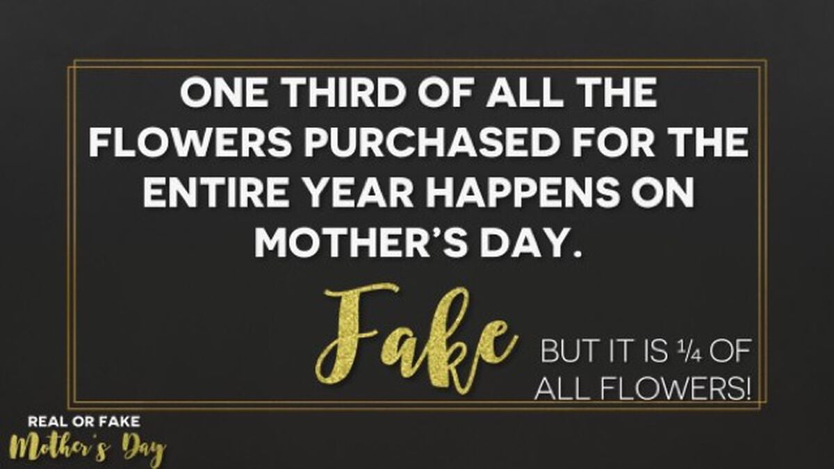Real or Fake: Mother's Day Edition image number null
