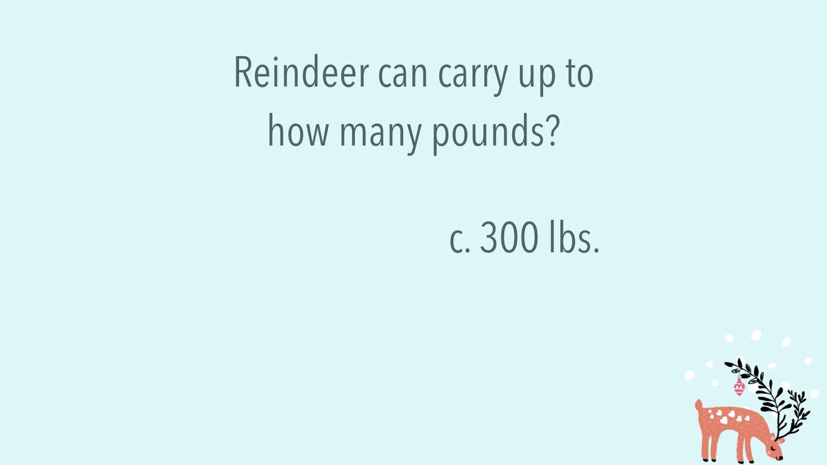 Reindeer Trivia image number null
