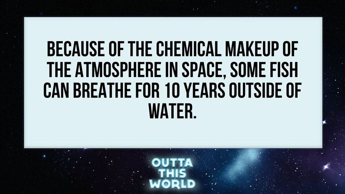 Outta This World image number null