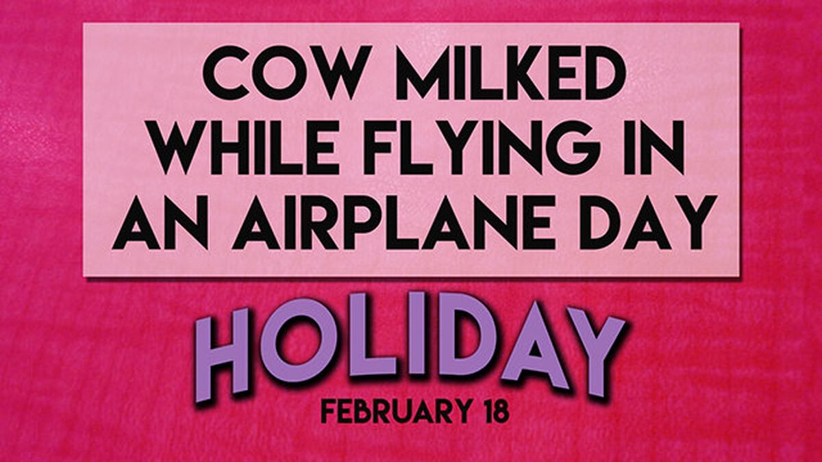 Holiday or Not a Day: February image number null
