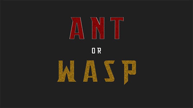 Ant or Wasp