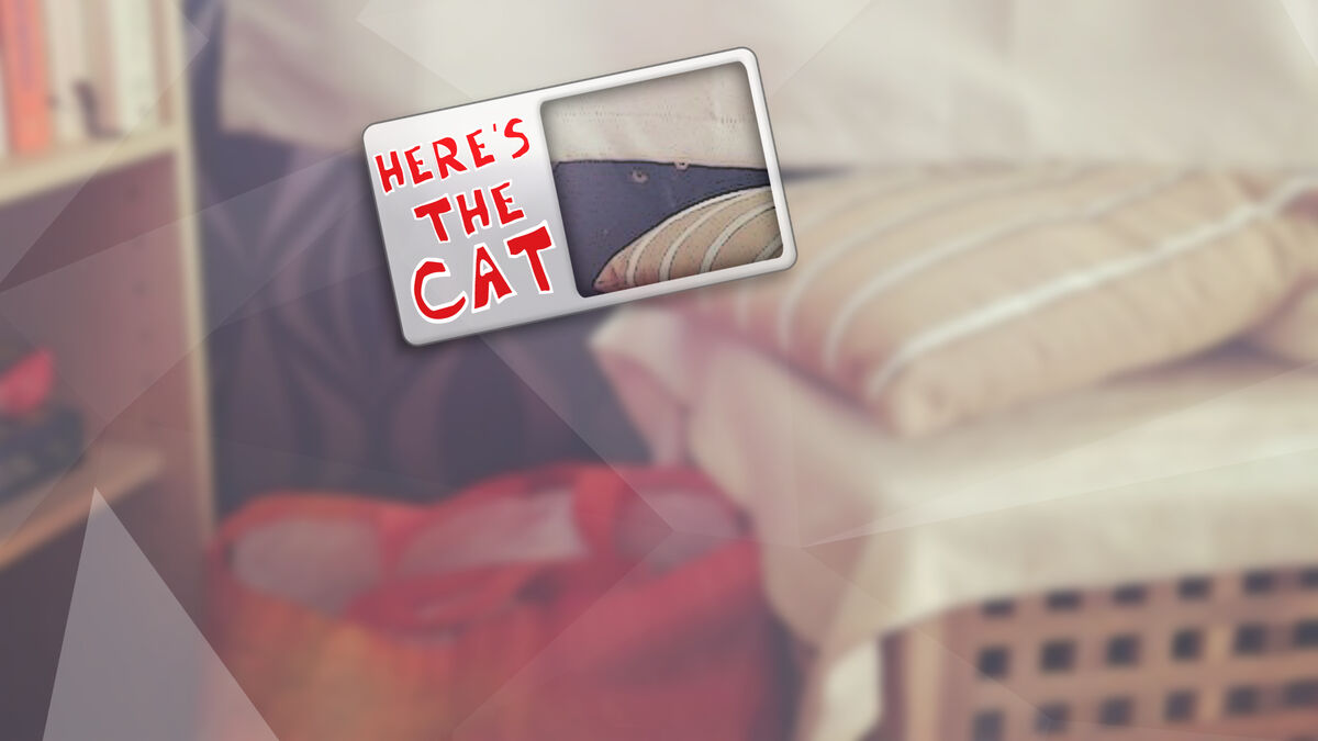 Can You Find the Cat? image number null