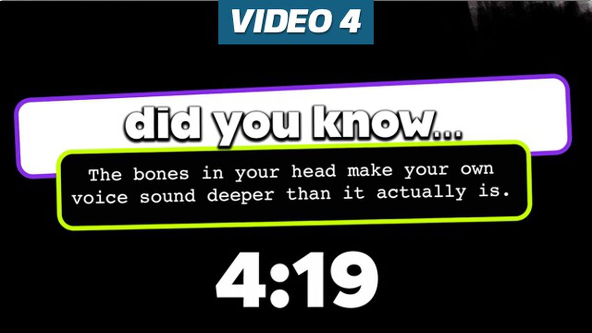 Fun Facts Countdown 4-Pack | Video | Download Youth Ministry
