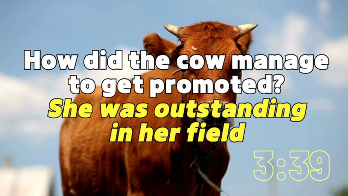 5-Minute COW-ntdown! | Countdowns | Download Youth Ministry