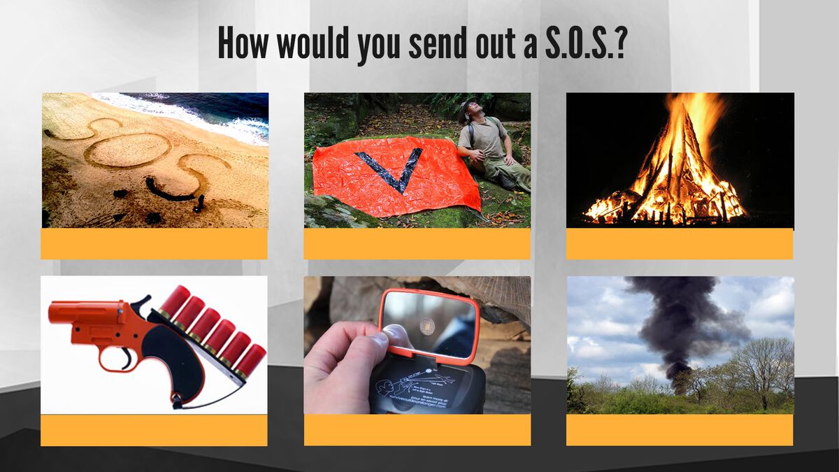 Survivor: Which is More Helpful? image number null