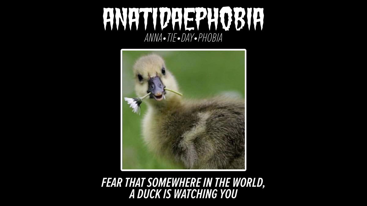 Phobias: What are You Afraid Of? image number null