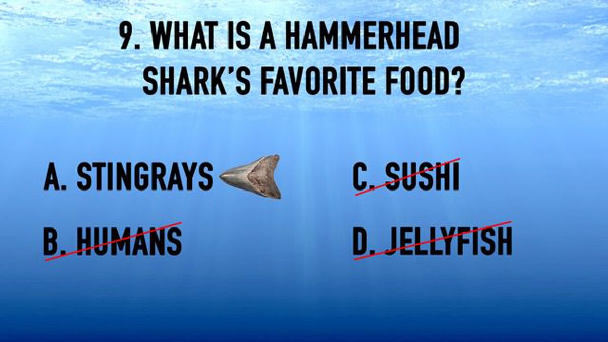 Shark Week Trivia image number null