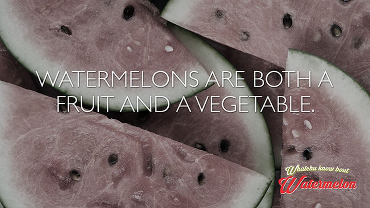 Whatchu Know Bout Watermelon? (August 3rd, National Watermelon Day) image number null