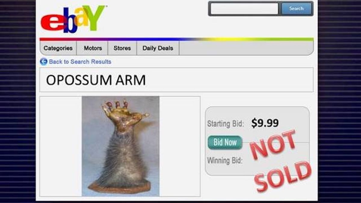 Sold on eBay? Volume 2 image number null