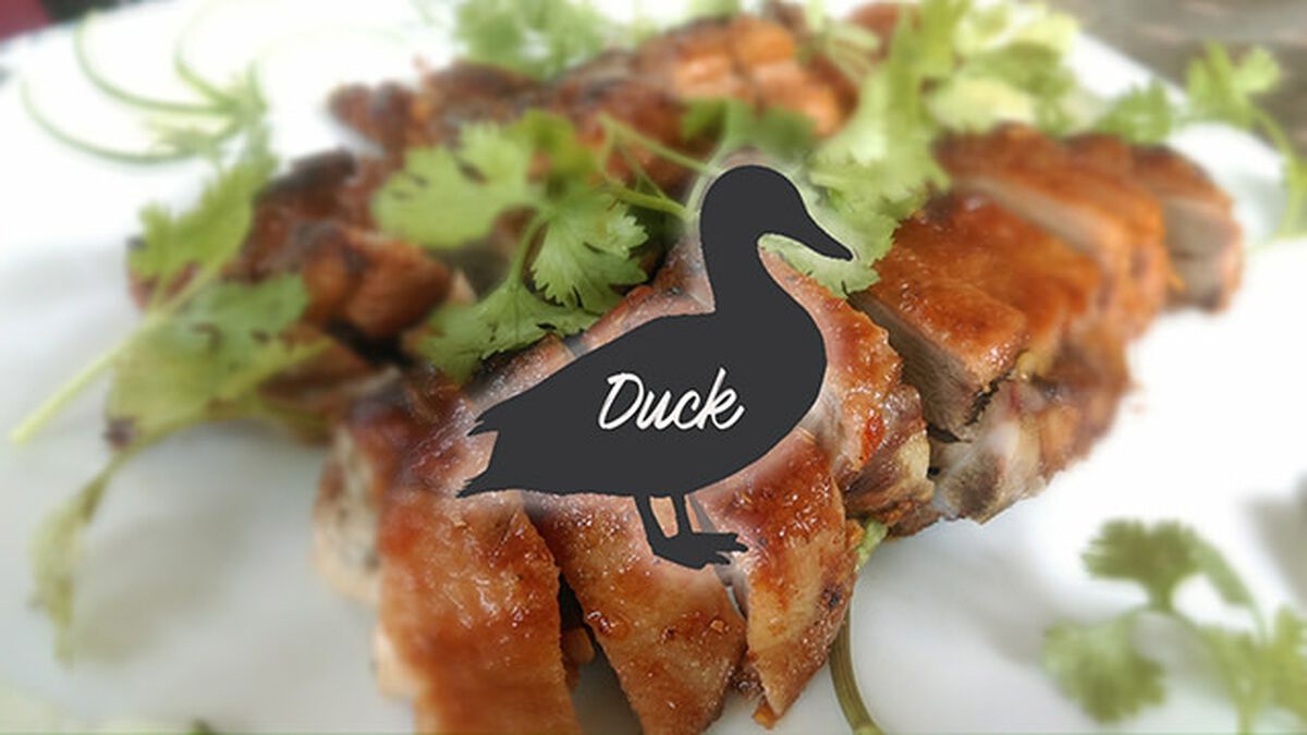 Turkey Duck Chicken Two image number null