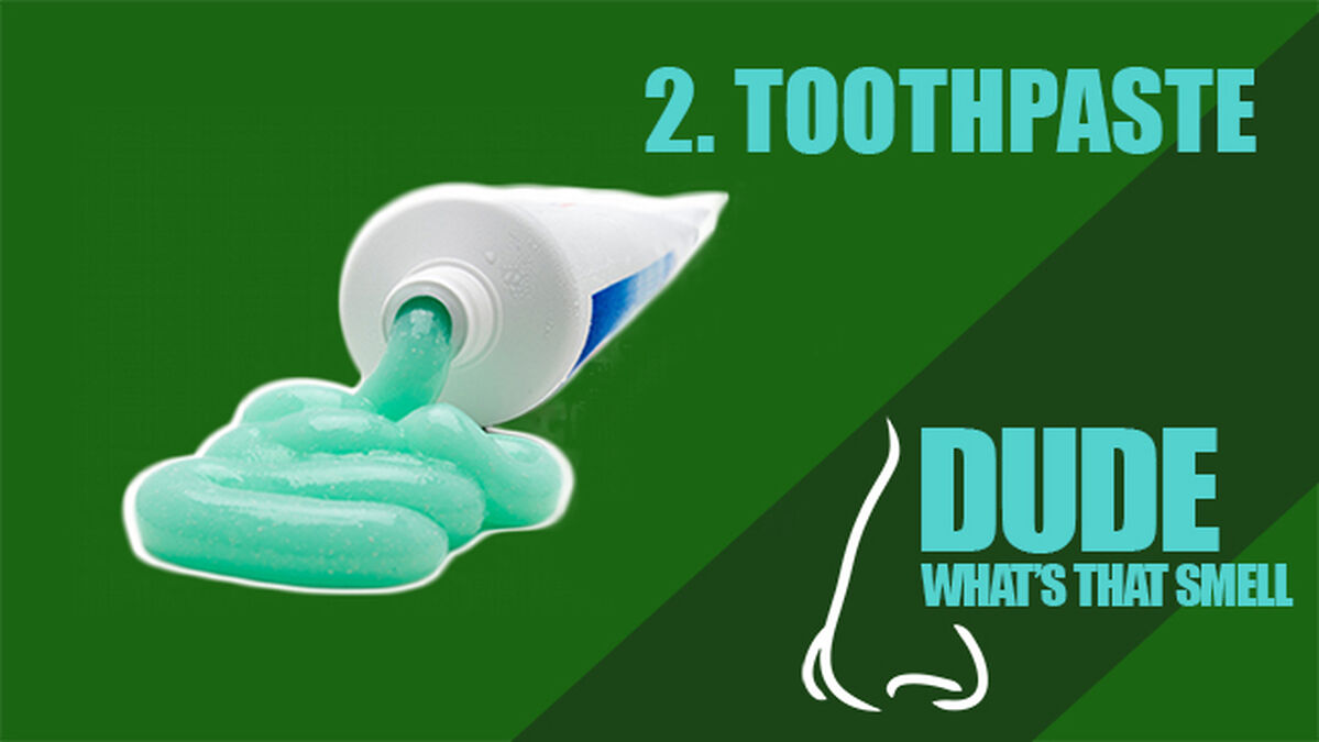 Dude, What’s that Smell? Volume 2 image number null