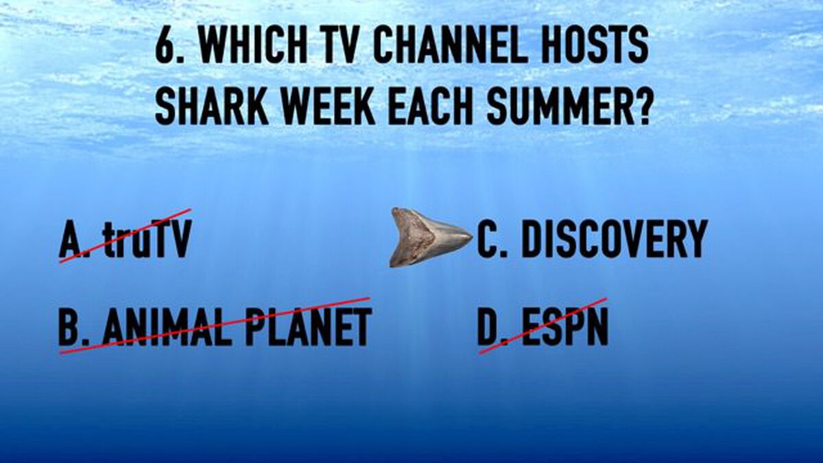 Shark Week Trivia image number null