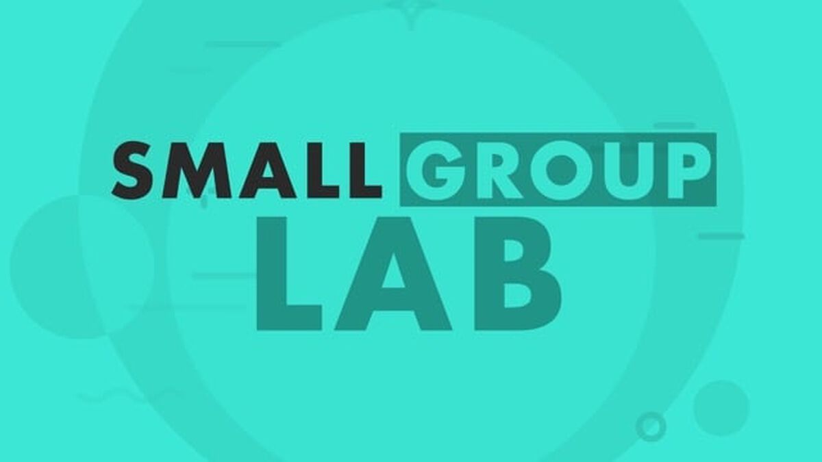 The Small Group Lab image number null