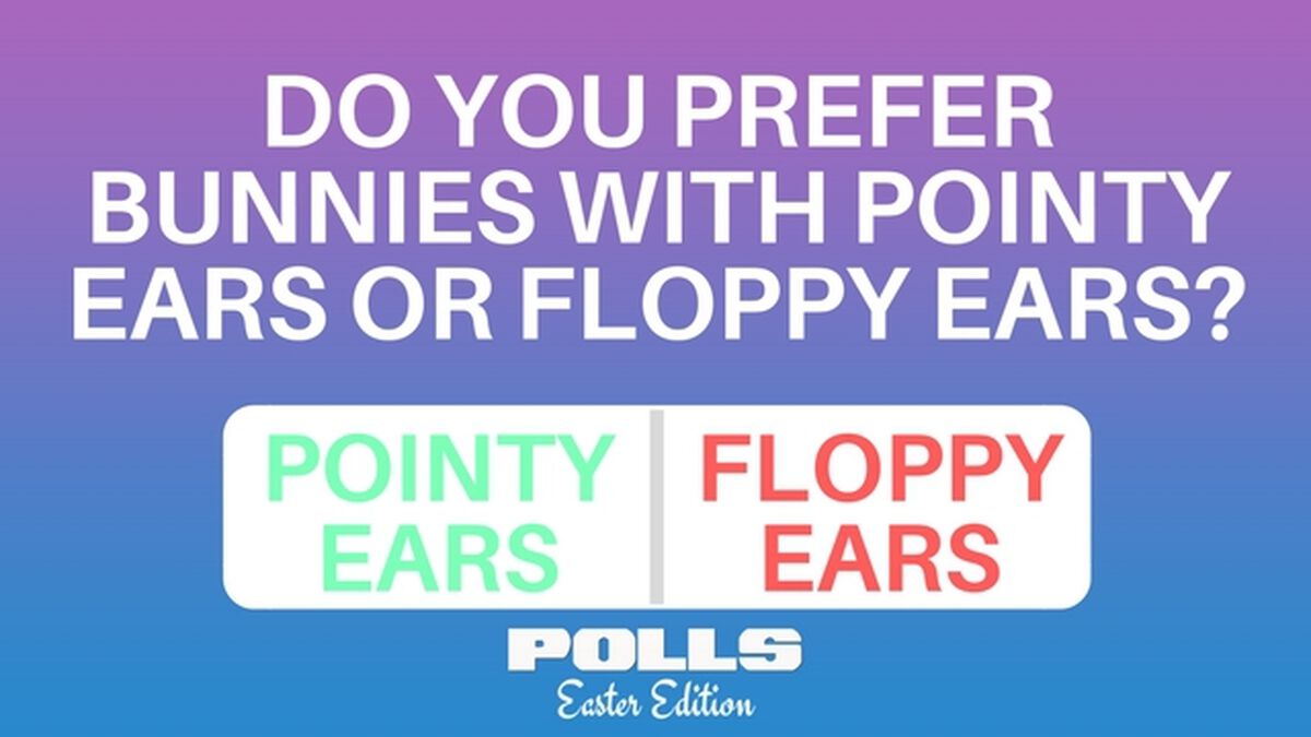Polls: Easter Edition image number null