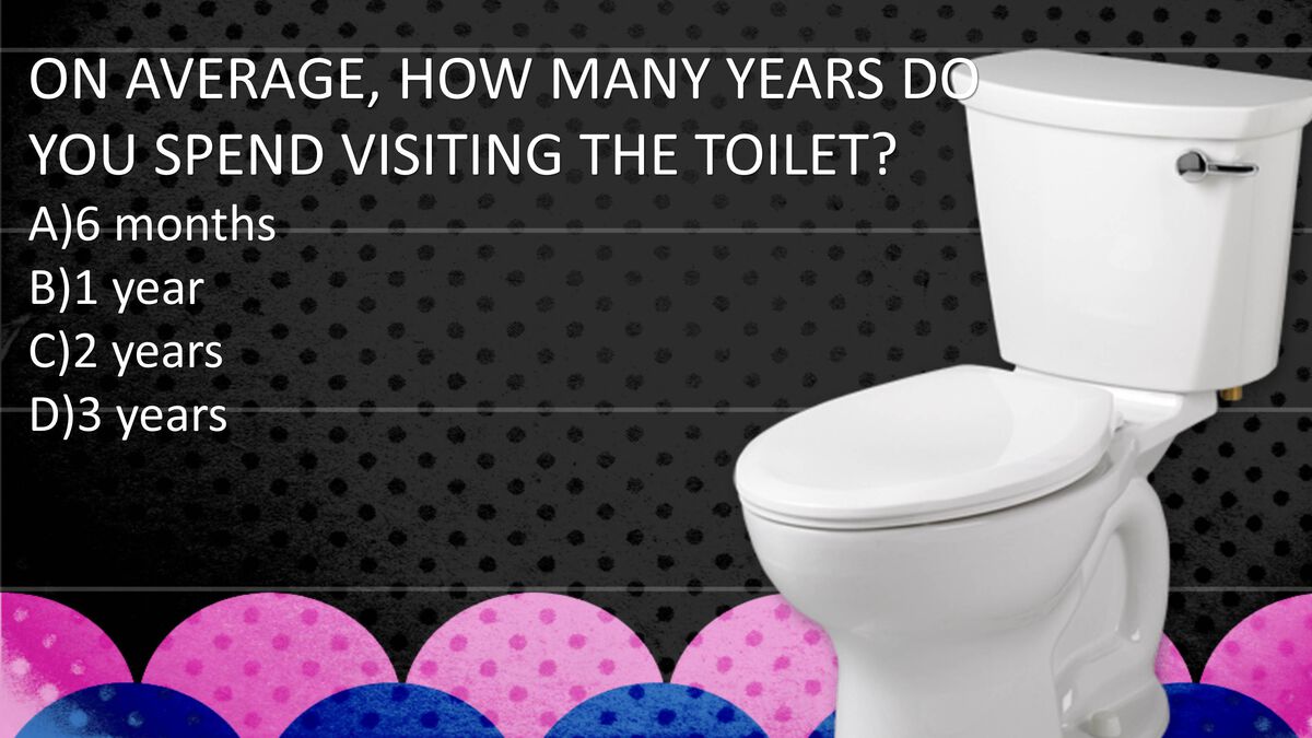 Toilet Trivia Game image number null