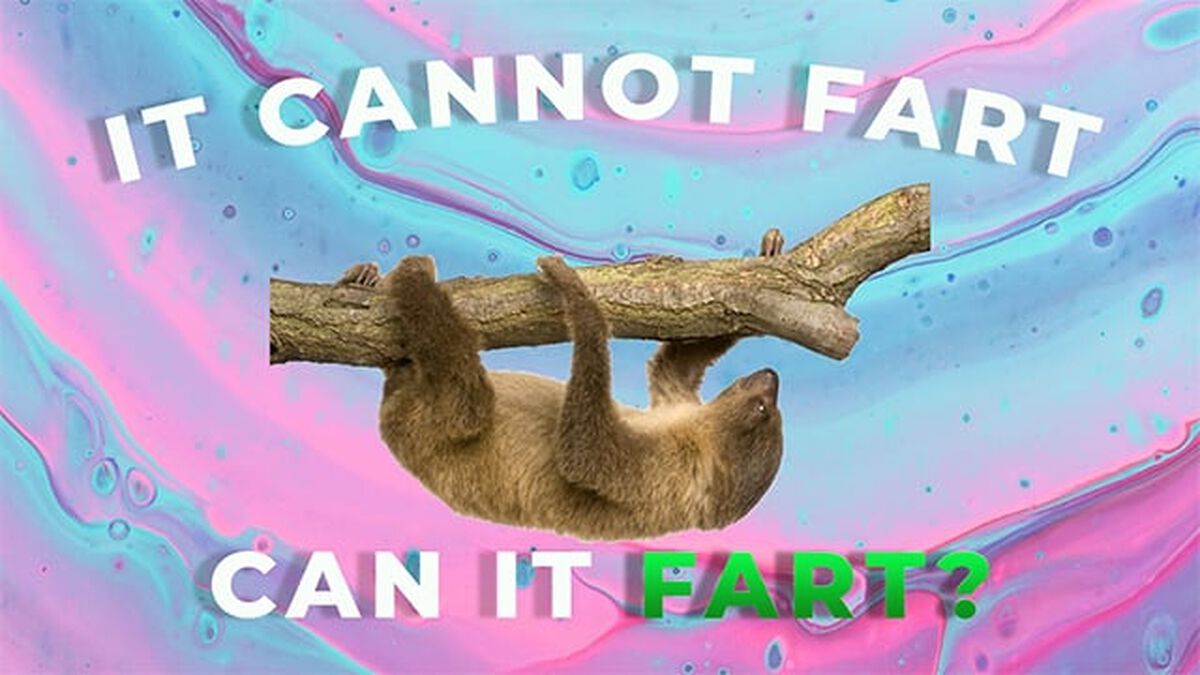 Can it Fart? image number null