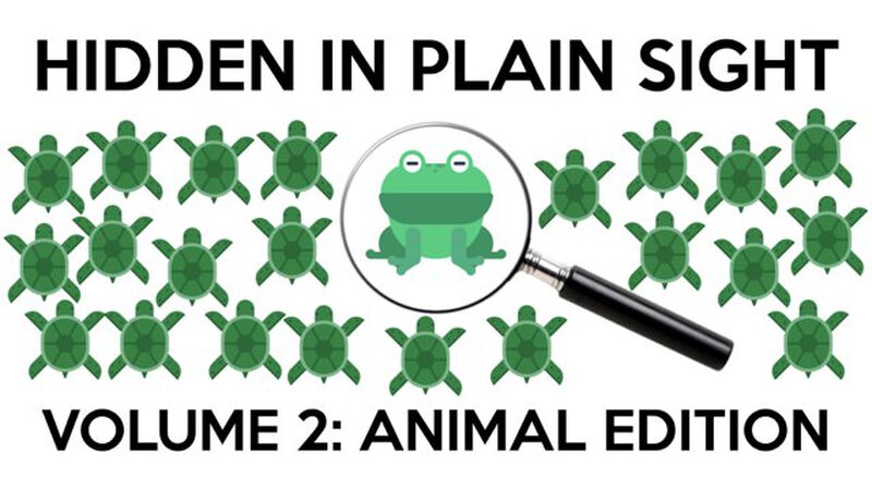 Hidden in Plain Sight 2: Animal Edition