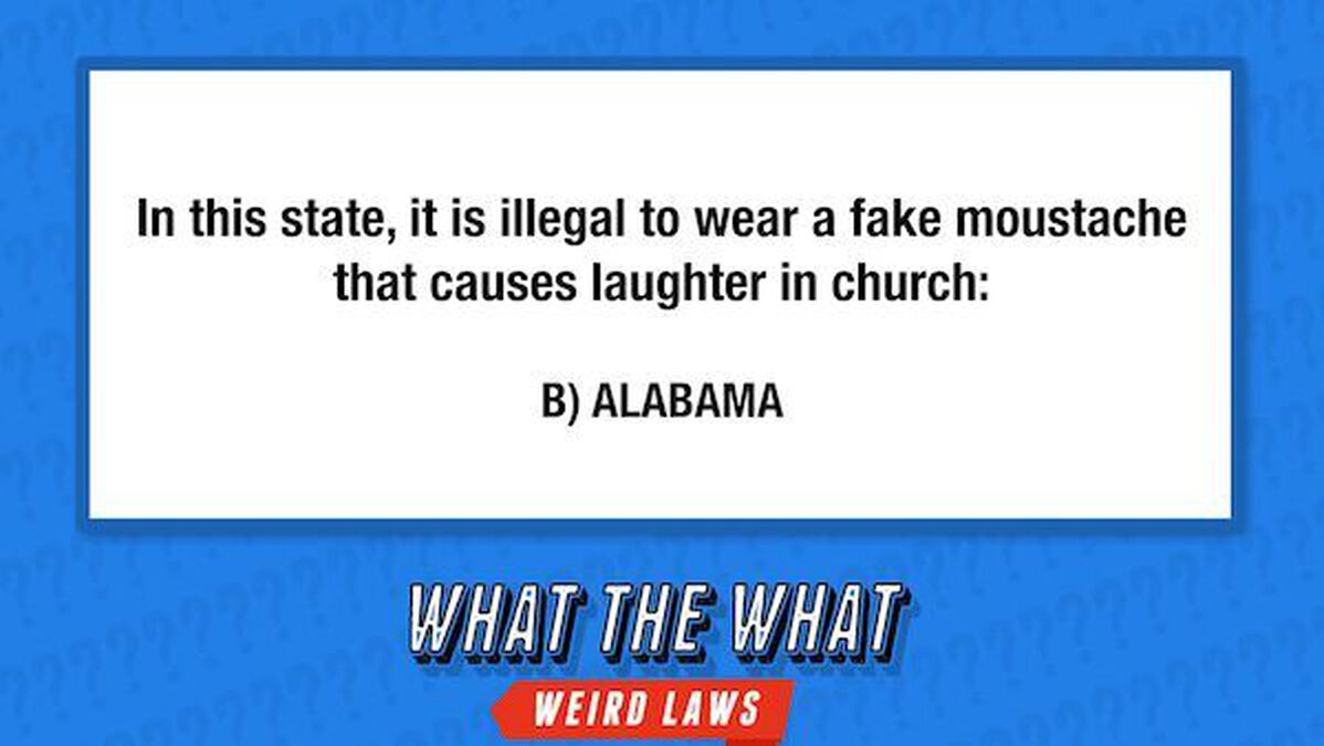 What the What? (Weird Laws) image number null
