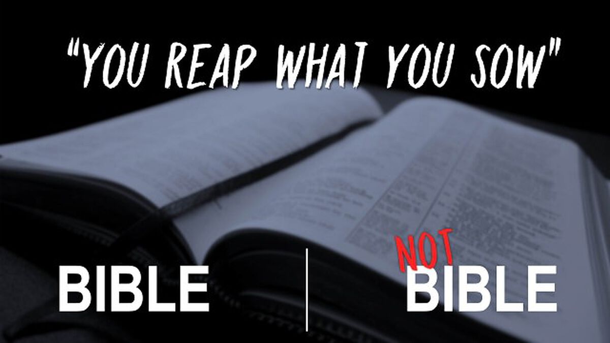 Is It In The Bible? image number null