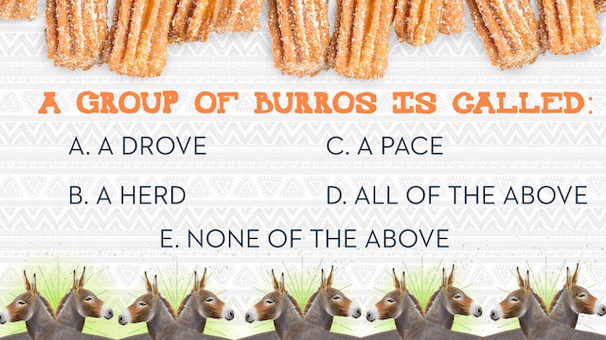 Churros and Burros image number null