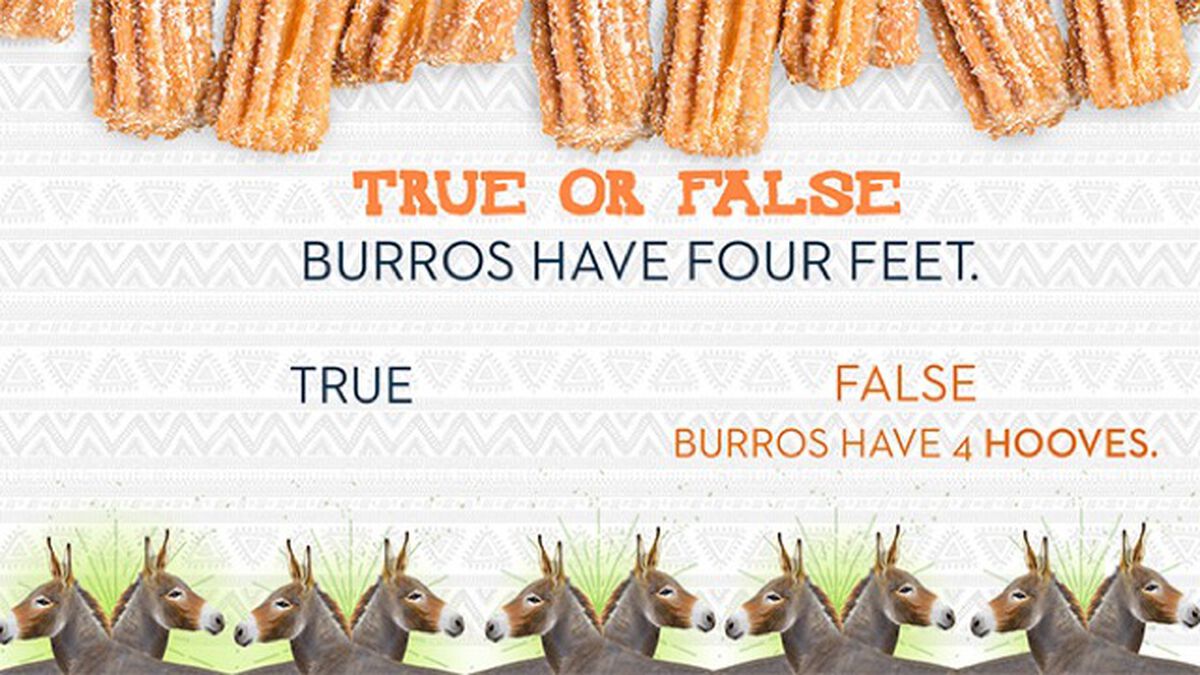 Churros and Burros image number null