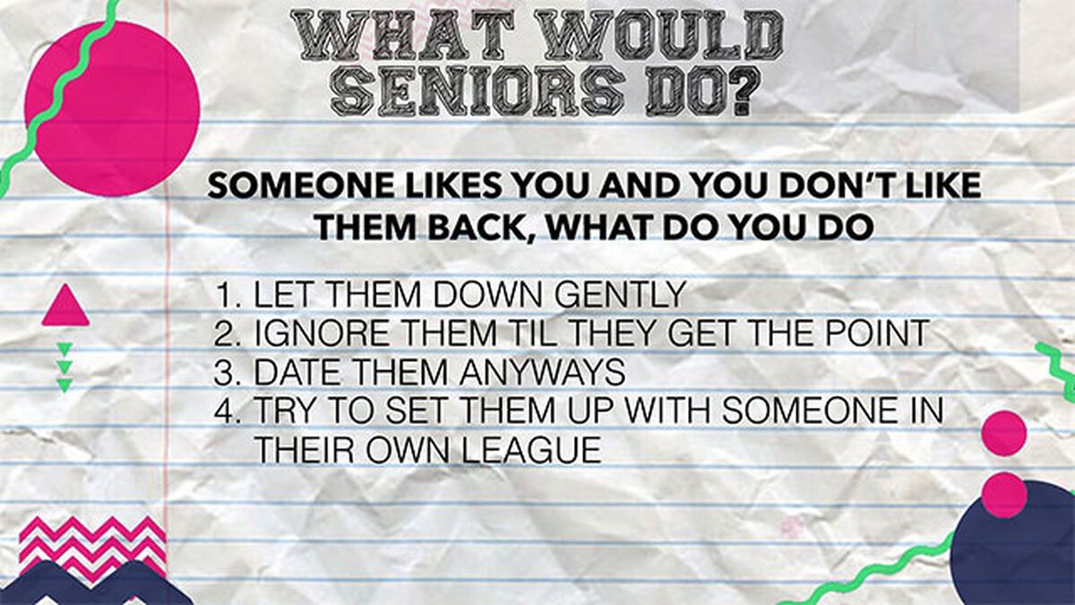 What Would Seniors Do? image number null