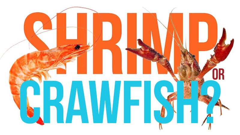 Shrimp or Crawfish (May 10th, National Shrimp Day)