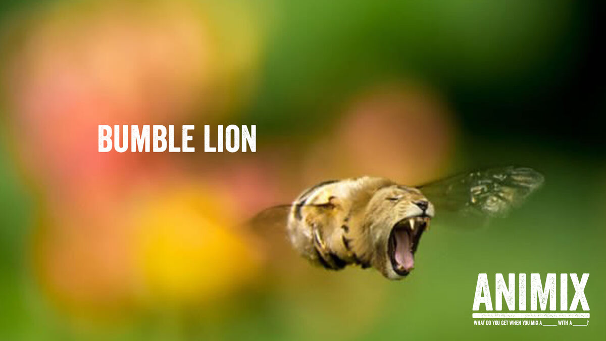 Animix: Animal Mashup Game image number null