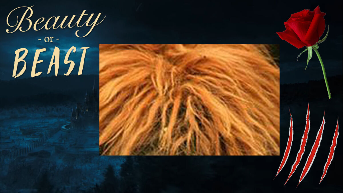 Beauty or Beast? image number null